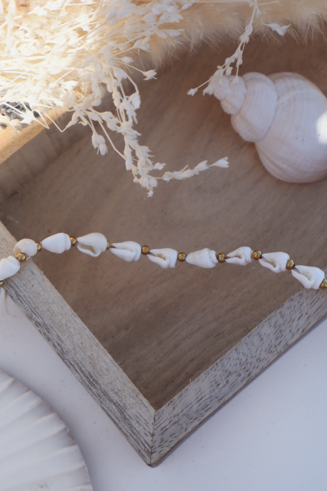 ras de cou coquillage blanc doré